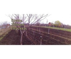 Участок, 8 сот., сельхоз (снт или днп)